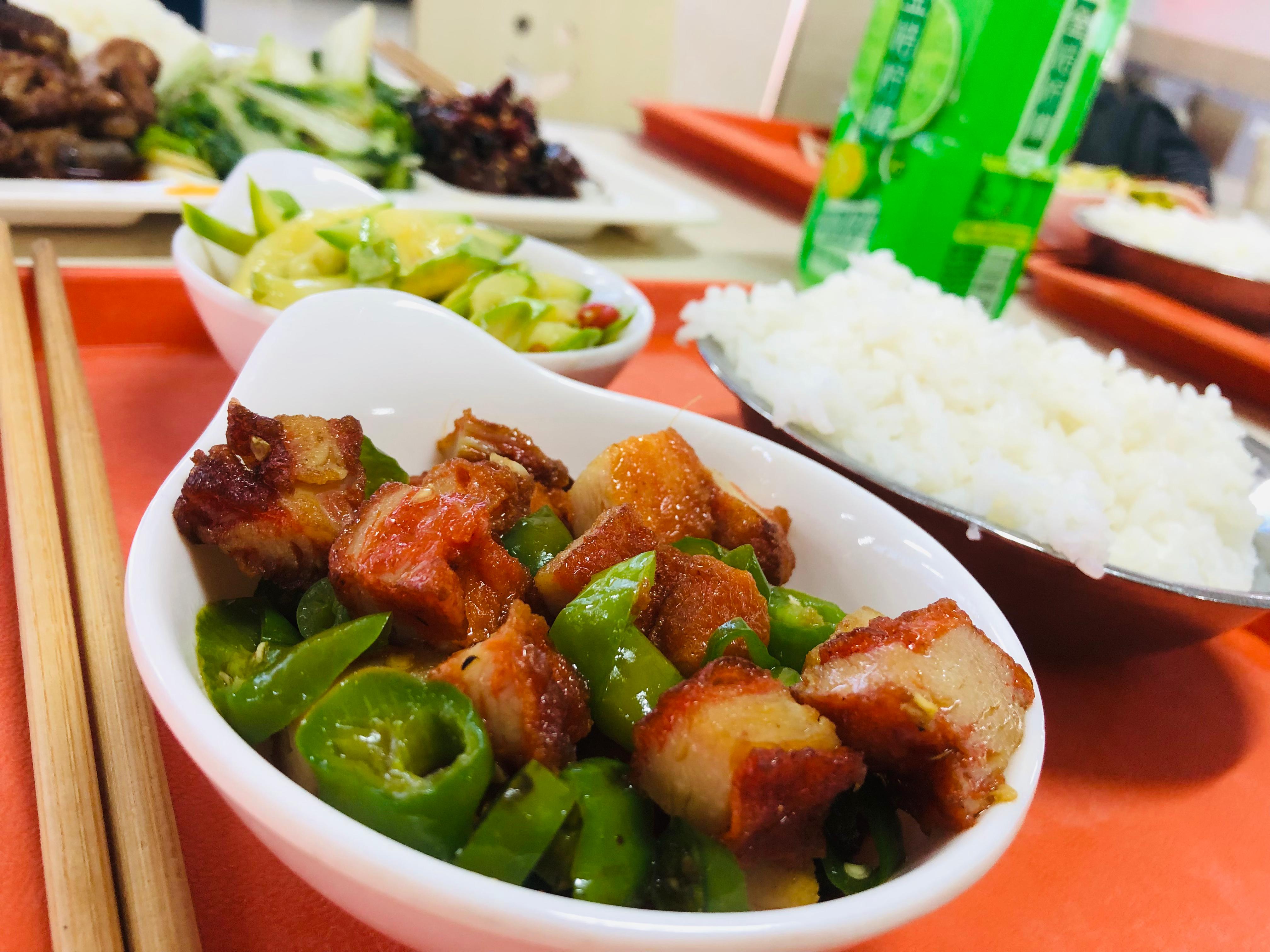 Wise Wings Global Consultants